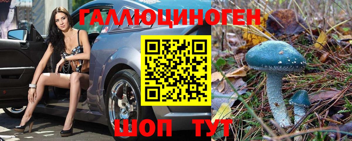 Кызыл  Псилоцибиновые грибы мухоморы  Вход с VPN 